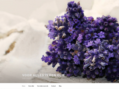 voorallesiseenolie.nl snapshot