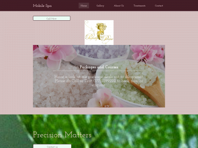 perfectlyprecise.co.uk snapshot