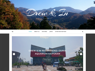 drewinsights.com snapshot