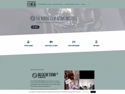 thenordicfilmactinginstitut.dk snapshot