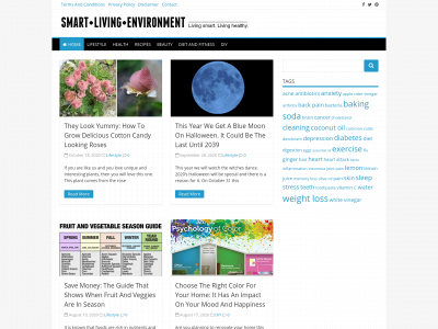 smartlivingenvironment.com snapshot