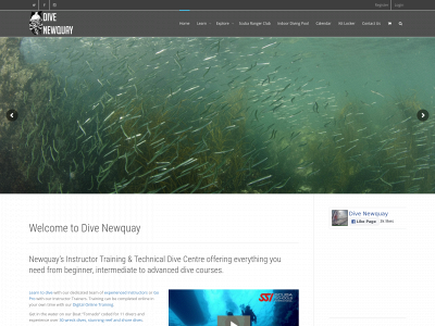 divenewquay.com snapshot