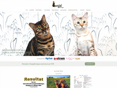bengalforeningen.se snapshot