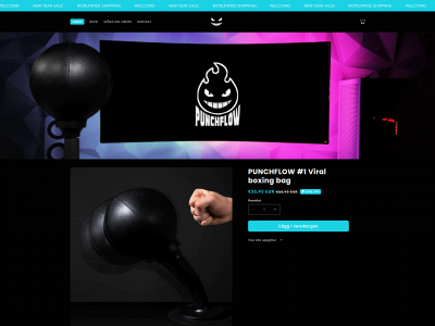 punchflow.se snapshot