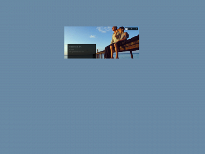 websitse.dk snapshot