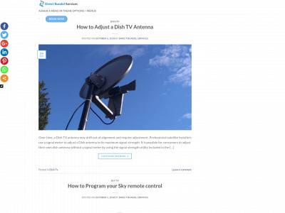 directbundelservices.com snapshot