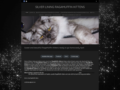 silverliningragamuffins.com snapshot
