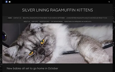 silverliningragamuffins.com snapshot