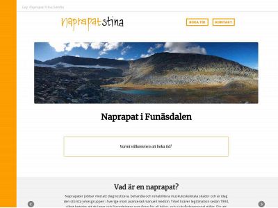naprapatstina.se snapshot
