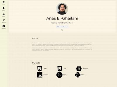 anasel-ghailani.com snapshot
