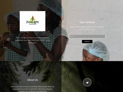 zionlightservices.org snapshot