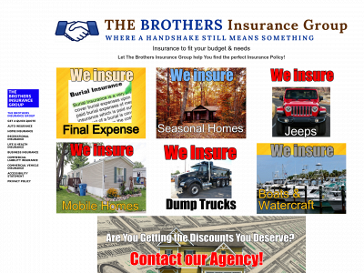 thebrothersinsurance.weebly.com snapshot
