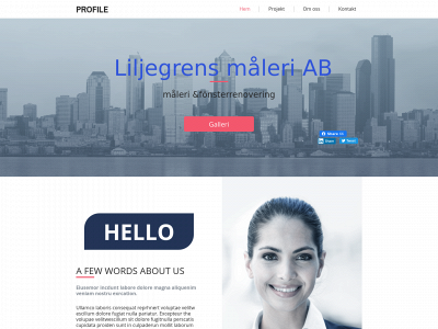 liljegrensmaleri.se snapshot