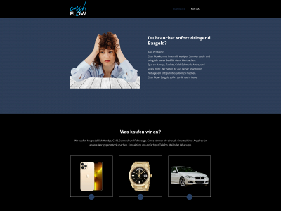 cashflow-stgt.de snapshot