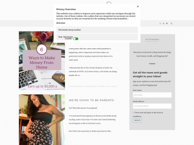 introvette.com snapshot