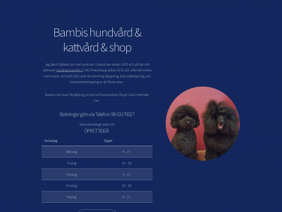 bambis.se snapshot