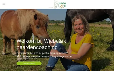 wiebeenik.nl snapshot