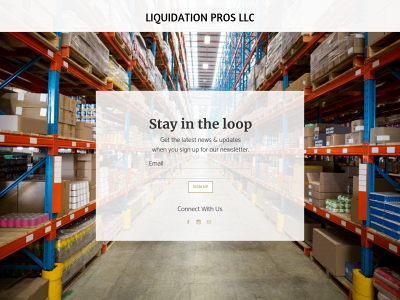 www.liquidationprosllc.com snapshot