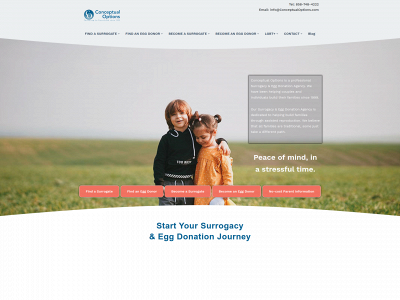 conceptualoptions.com snapshot