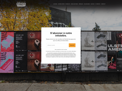 publicitesauvage.com snapshot