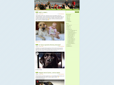 super-retriveriai.lt snapshot
