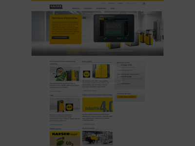 kaeser.lt snapshot