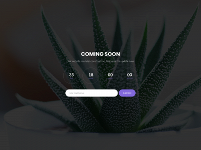 finedesignkw.com snapshot
