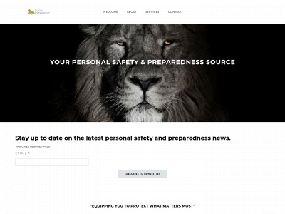 www.lionstrategic.com snapshot