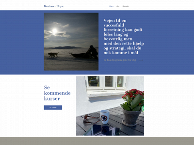 businezzhops.dk snapshot