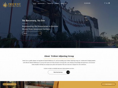 tridentadjusting.com snapshot