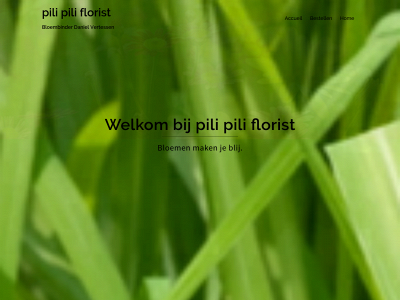 pilipili-florist.be snapshot