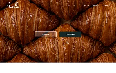 prunelle.com.lb snapshot