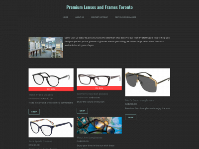 lensesandframes10.weebly.com snapshot