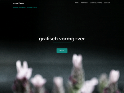 annfaes.be snapshot