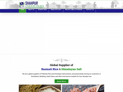 shahpur.com.pk snapshot