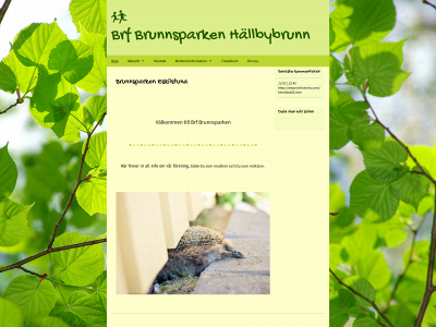 brunnsparkeneskilstuna.se snapshot
