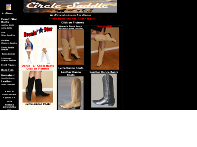 circlesaddle.com snapshot