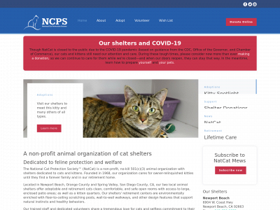felinedefenders.org snapshot