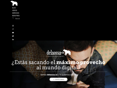 delaossa.co snapshot