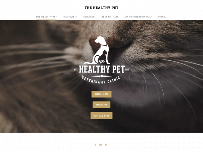 www.thehealthypetvet.com snapshot
