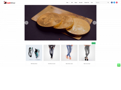 cashmine.co.uk snapshot