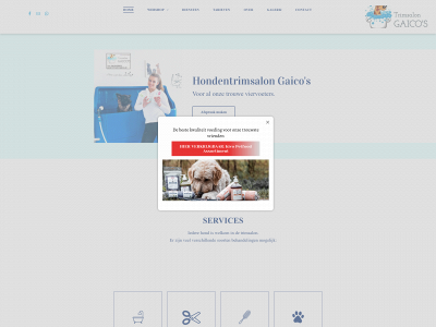 trimsalongaicos.nl snapshot