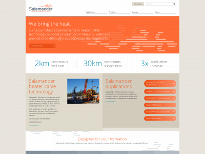salamandersolutions.com snapshot