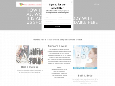 fefesonbusinesscenterllc.weebly.com snapshot