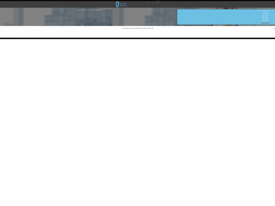 valiantknightconsultants.com snapshot