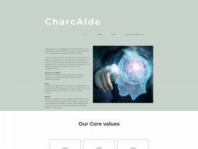 charcaide.com snapshot