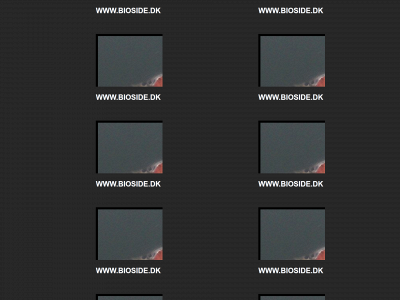 bioside.dk snapshot