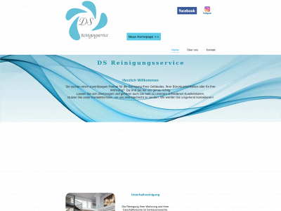 dsreinigung.ch snapshot