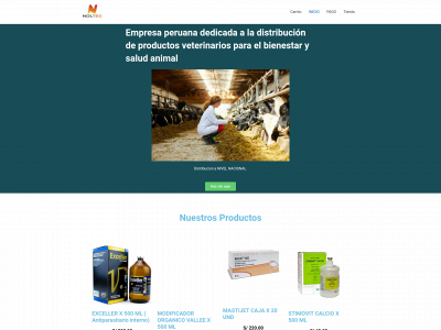 noltecperu.com snapshot
