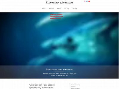la-palma-fishing.com snapshot